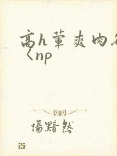 高h荤爽肉欲文〈np