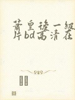 萧皇后一级艳史片bd高清在线观看