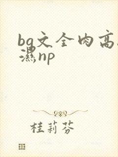 bg文全肉高h湿np