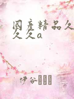 国产精品久久久久久a