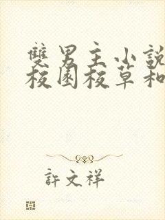 双男主小说推荐校园校草和校霸