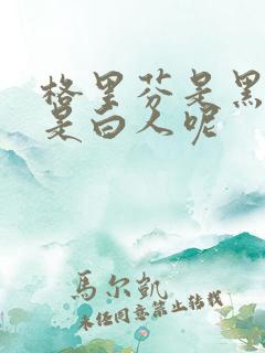 格里芬是黑人还是白人呢