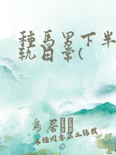 种马男下半身出轨日常(