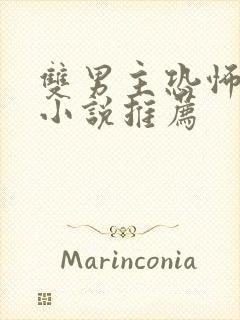 双男主恐怖悬疑小说推荐