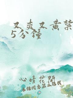 又爽又黄禁片45分钟