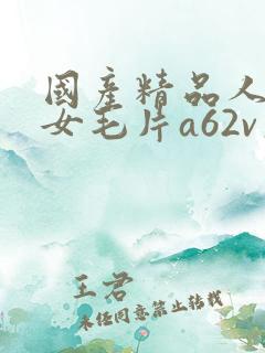 国产精品人妻熟女毛片a62v久久