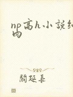 np高h小说纯肉
