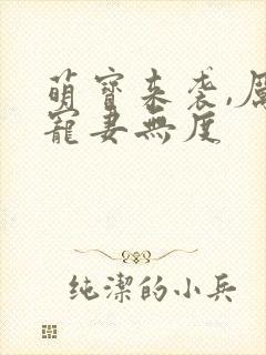 萌宝来袭,厉总宠妻无度