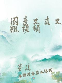 国产又爽又黄又粗视频