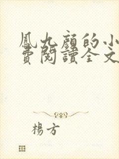 凤九颜的小说免费阅读全文无弹窗