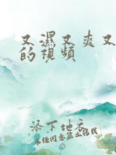 又湿又爽又刺激的视频