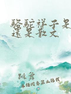 骆驼祥子是小说还是散文