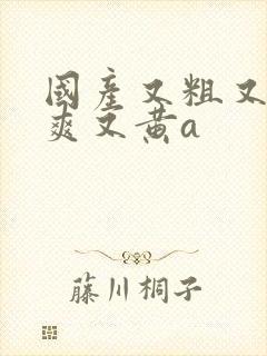 国产又粗又猛又爽又黄a