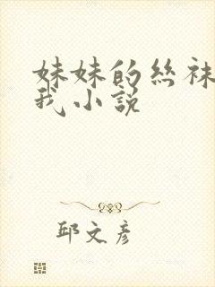 妹妹的丝袜调教我小说