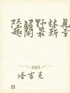 陆昭野林见疏笔趣阁最新章节更新