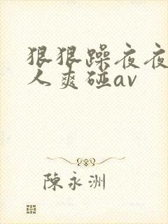 狠狠躁夜夜躁人人爽碰av