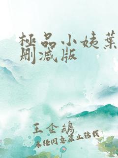 极品小姨叶凡无删减版