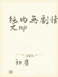 纯肉无剧情肉的文np