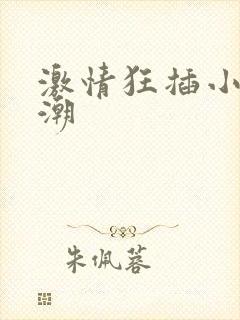 激情狂插小说高潮