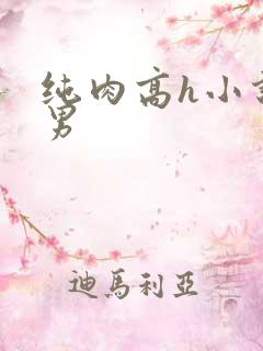 纯肉高h小说男男