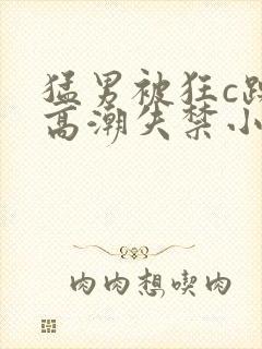 猛男被狂c躁到高潮失禁小说