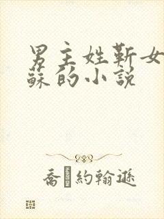 男主姓靳女主姓苏的小说