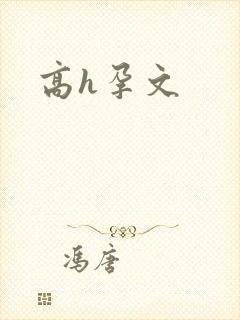 高h孕文