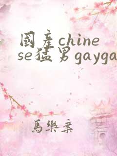 国产chinese猛男gaygay网站