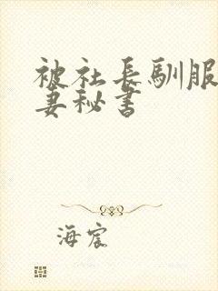 被社长驯服的人妻秘书