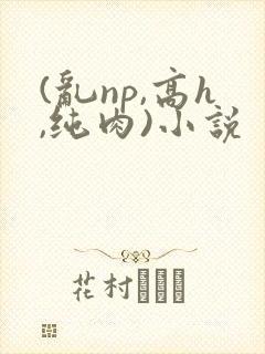 (乱np,高h,纯肉)小说
