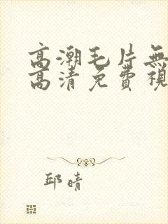 高潮毛片无遮挡高清免费视频软件