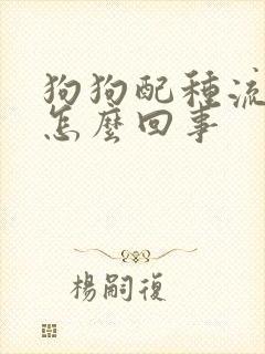 狗狗配种流口水怎么回事