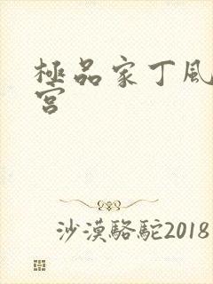 极品家丁风流后宫