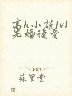 高h小说1v1先婚后爱