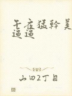 午夜猛干美女小逼逼