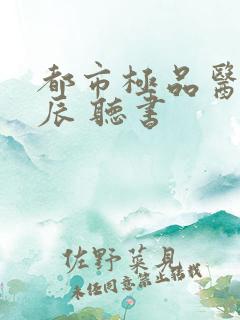 都市极品医神叶辰 听书