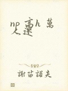 np 高h 万人迷