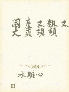 国产又粗又硬又大爽视频