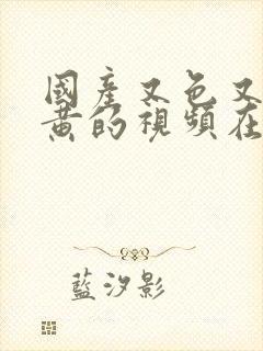 国产又色又爽又黄的视频在线观看