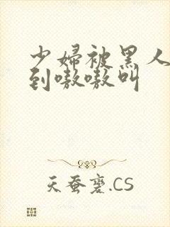 少妇被黑人4p到嗷嗷叫