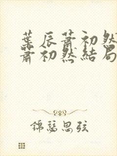 叶辰萧初然叶辰萧初然结局