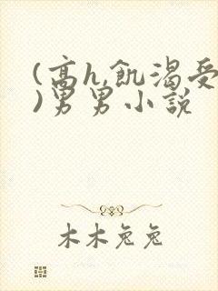 (高h,饥渴受)男男小说