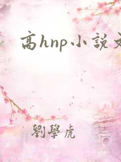 高hnp小说文