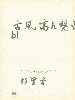 古风高h双性受bl