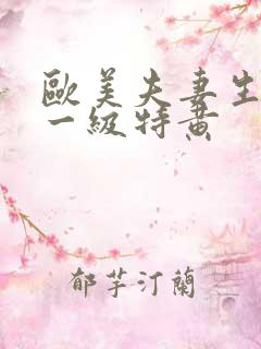 欧美夫妻生活片一级特黄