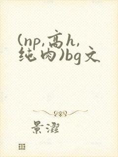(np,高h,纯肉)bg文
