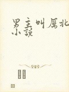 男主叫厉北霆的小说