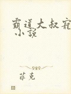 霸道大叔宠甜妻 小说