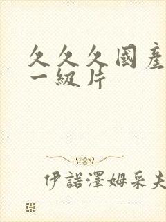 久久久国产黄色一级片