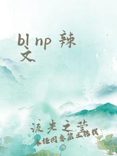 bl np 辣文